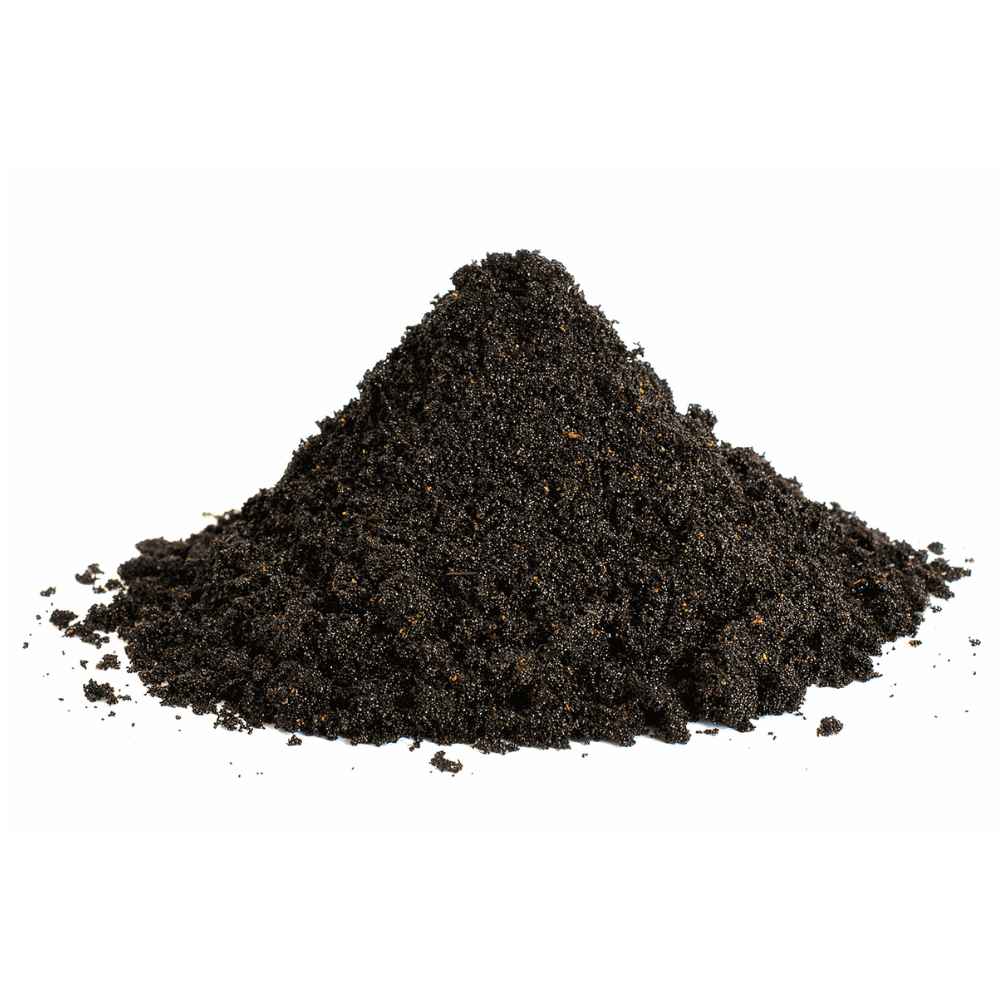 Vanilla-1