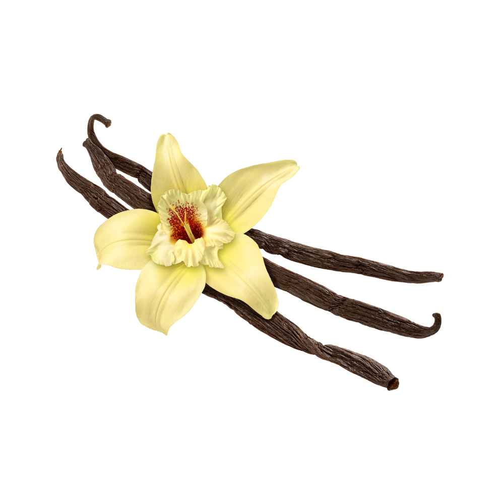 Vanilla-4